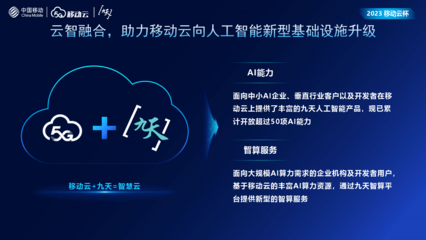 善智者，動(dòng)于九天之上 人工智能基礎(chǔ)軟件開發(fā)的格局、挑戰(zhàn)與未來